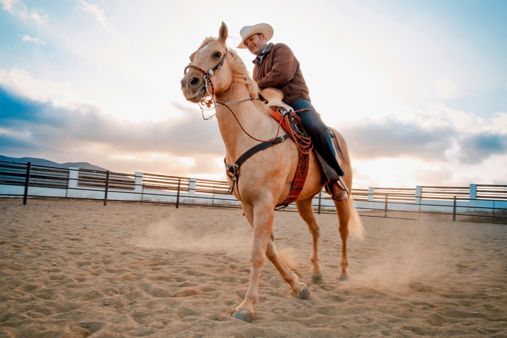 VIDEO: Know Before You Go to the San Antonio Stock Show and Rodeo