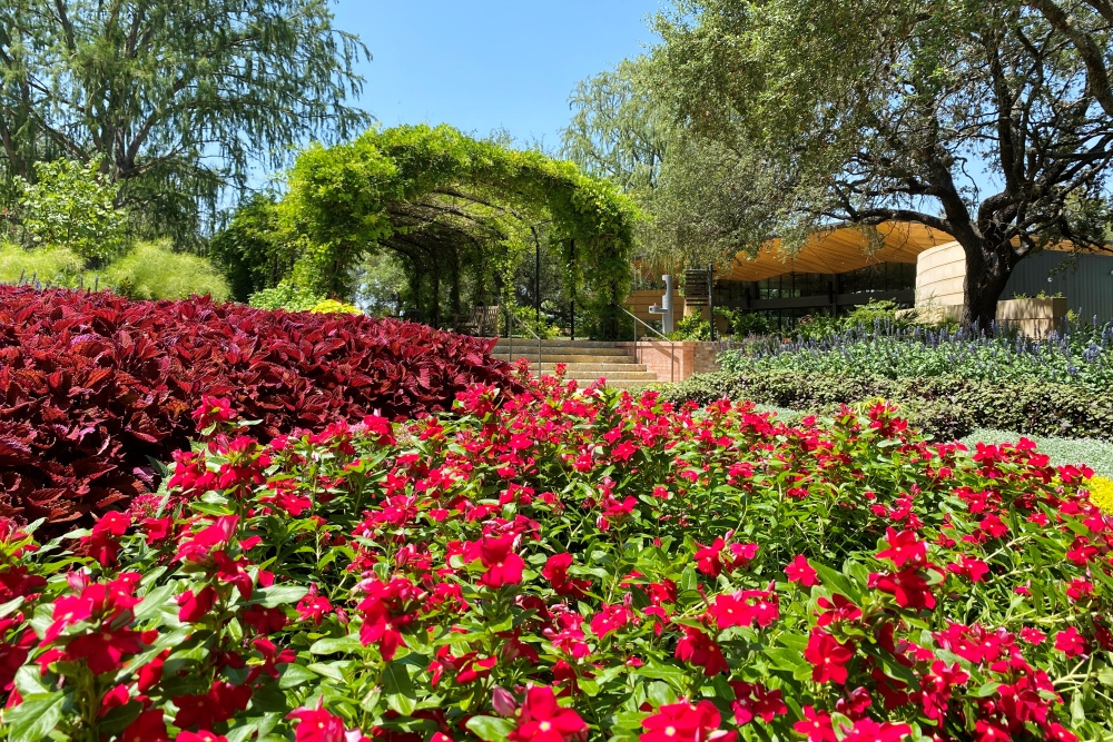 San Antonio Botanical Garden Partners with Chef Jason Dady